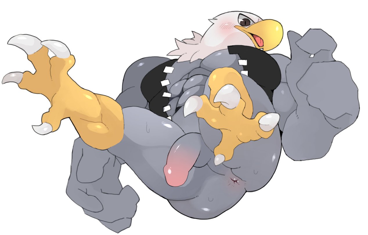 abs accipitrid accipitriform animal_crossing anthro anus apollo_(animal_crossing) avian bald_eagle balls beak bird blush bottomless clothed clothing eagle feathers flaccid genitals humanoid_genitalia humanoid_penis male mammal muscular muscular_male nintendo open_mouth pecs penis samon sea_eagle simple_background solo talons video_games white_background