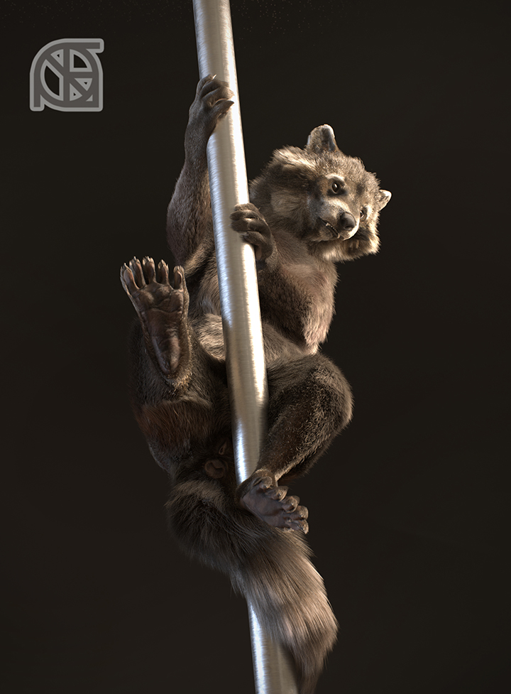 3d_(artwork) animal_genitalia animal_pussy anus black_nose butt claws climbing cosmiclife dancing digital_media_(artwork) fangs feet female feral fur genitals hindpaw looking_down mammal paws pinup pole pole_dancing pose procyonid pussy raccoon realistic semi-anthro solo spreading stripper_pole sue_andy_(cosmiclife) teeth