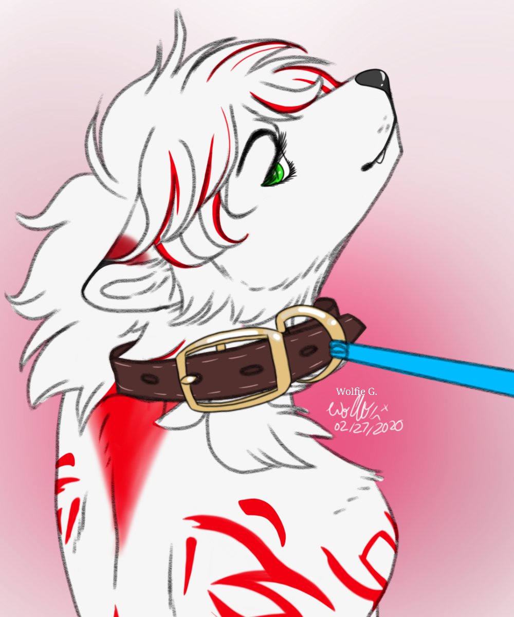 ambiguous_gender anthro canid canine collar eyelashes fox fur green_eyes hi_res highlights_(coloring) leash lifted_head looking_at_viewer mammal markings neck_tuft rilea solo spicy_koda tuft white_body white_fur