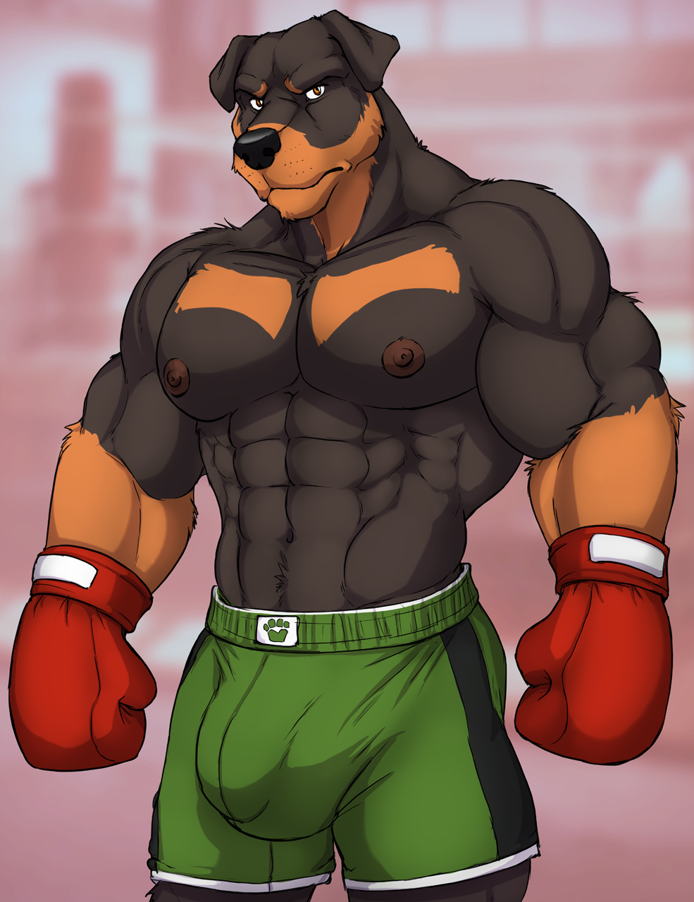 2020 abs anthro black_nose blacksad bobby_yale bottomwear boxing_gloves brown_eyes bulge canid canine canis clothing domestic_dog dream_and_nightmare handwear hi_res male mammal mastiff molosser muscular nipples rottweiler shorts solo