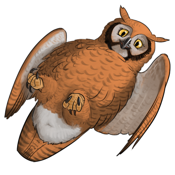 1:1 alpha_channel animal_genitalia avian beak bird border bubo_(genus) cloaca feathered_wings feathers fluffy genitals great_horned_owl looking_at_viewer moisteaglevent owl presenting smile transparent_border true_owl twiglet wings