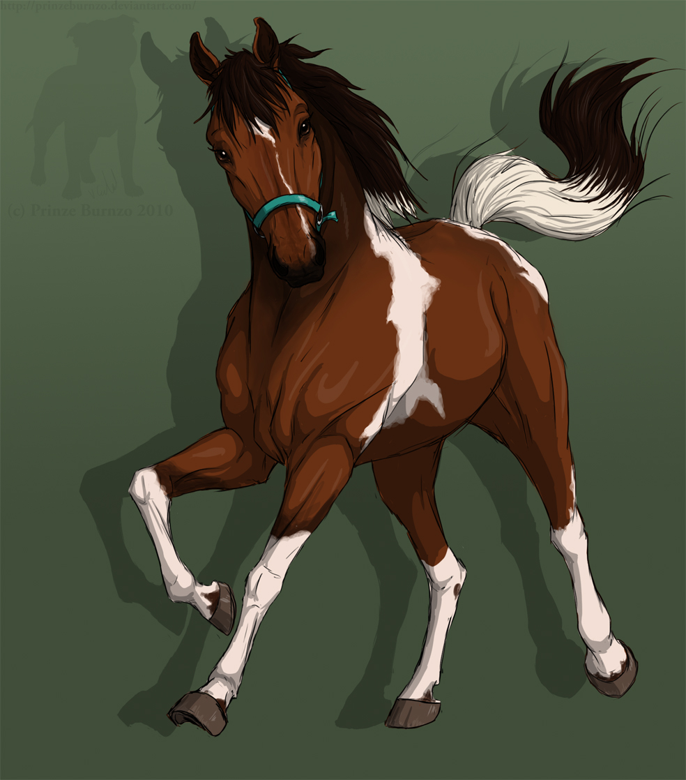 2010 ambiguous_gender black_mane black_tail bridle brown_body brown_eyes brown_fur digital_media_(artwork) equid equine feral fur green_background grey_hooves hooves horse looking_at_viewer mammal mane multicolored_body multicolored_fur multicolored_mane multicolored_tail prinzeburnzo quadruped shadow simple_background solo text two_tone_body two_tone_fur two_tone_mane two_tone_tail url watermark white_body white_fur white_mane white_tail