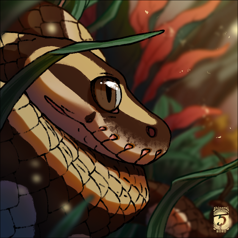2020 ambiguous_gender brown_body brown_eyes brown_scales digital_media_(artwork) feral reptile scales scalie shinerai snake solo