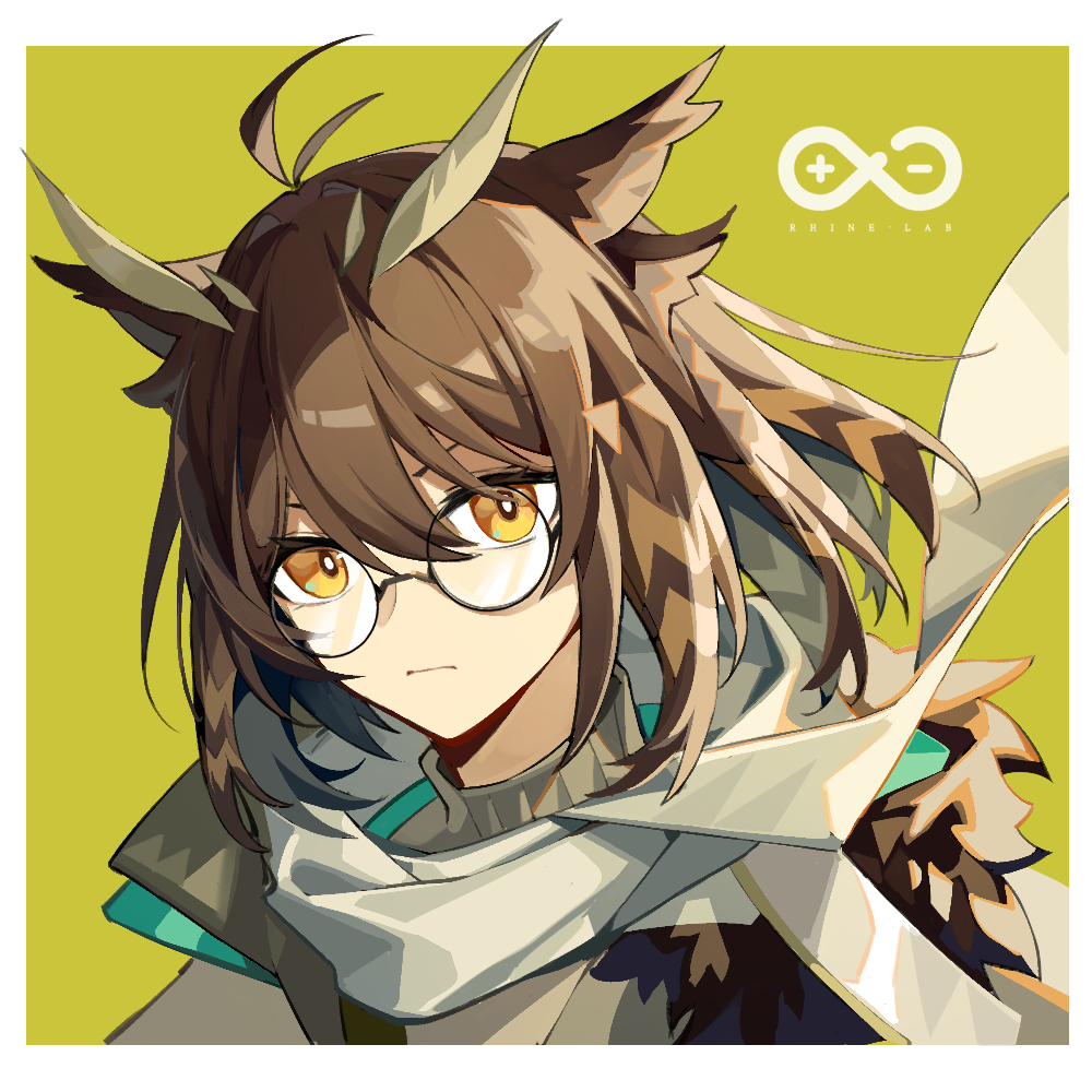 1girl antenna_hair arknights border bright_pupils glasses green_background grey_scarf grey_sweater hair_between_eyes looking_at_viewer official_alternate_costume outside_border owl_ears portrait rhine_lab_logo round_eyewear scarf silence_(arknights) silence_(frosted_breath)_(arknights) simple_background solo sweater white_border white_pupils yellow_eyes yukleeeee