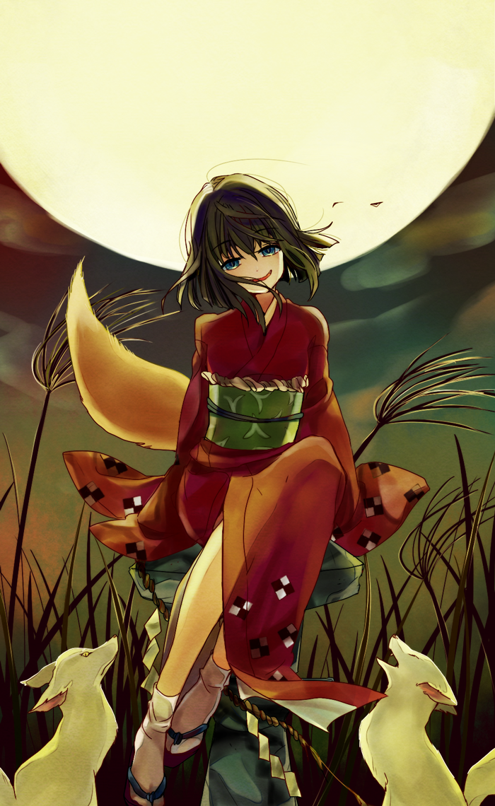 1girl animal black_hair blue_eyes fox fox_girl fox_tail full_moon geta head_tilt huge_moon japanese_clothes kimono kitsune moon night noritamako obi obiage obijime outdoors red_kimono rope sash shide shimenawa short_hair sitting slit_pupils smile stone_lantern tabi tactics tail wide_sleeves wind wind_lift yellow_eyes youko_(tactics)