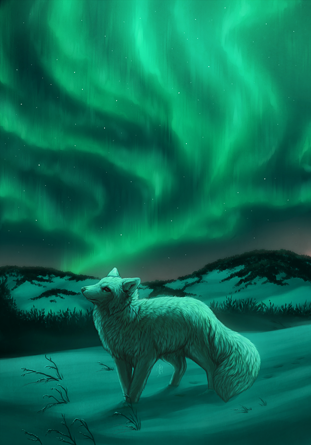 2014 ambiguous_gender arctic_fox aurora_borealis branch canid canine detailed detailed_background detailed_fur digitigrade feral fluffy fox fur grass green_theme hill kippycube light lighting mammal night outside plant side_view sky snow solo star starry_sky white_body white_fur winter
