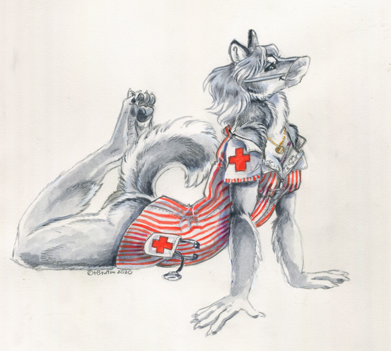 &lt;3 2020 anthro blue_eyes bottomless breasts canid canine canis claws cleavage clothed clothing domestic_dog facemask female fur grey_body grey_fur grey_hair hair heather_bruton jewelry locket mammal medical_instrument medical_thermometer necklace pawpads scientific_instrument simple_background smile solo stethoscope thermometer weather_instrument white_background white_body white_fur