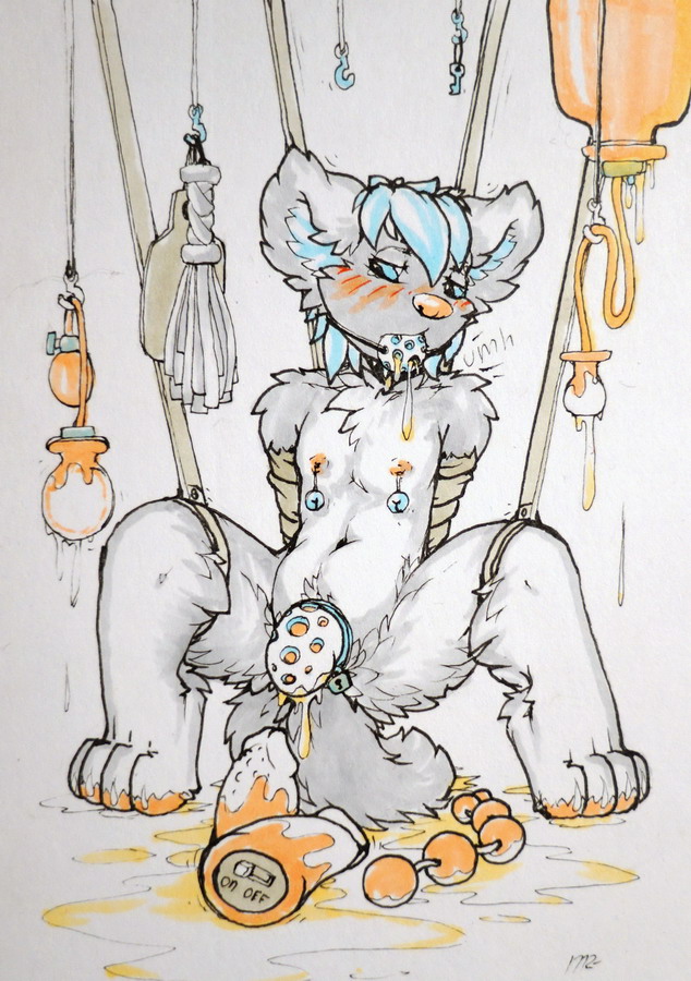addickted anal_beads anthro ball_gag bdsm bell blue_eyes blush bodily_fluids bondage bound buttplug canid canine canis cat_o'_nine_tails chastity_cage chastity_device cum dildo domestic_dog enema_bag fur gag genital_fluids genitals grey_body grey_fur hands_behind_back husky inflatable_buttplug male mammal navel nipple_bell nipple_fetish nipple_piercing nipple_play nipples nordic_sled_dog paddle pawpads penis piercing sex_toy solo spitz straps traditional_media_(artwork) urine urine_in_mouth urine_on_floor vibrator watersports whip