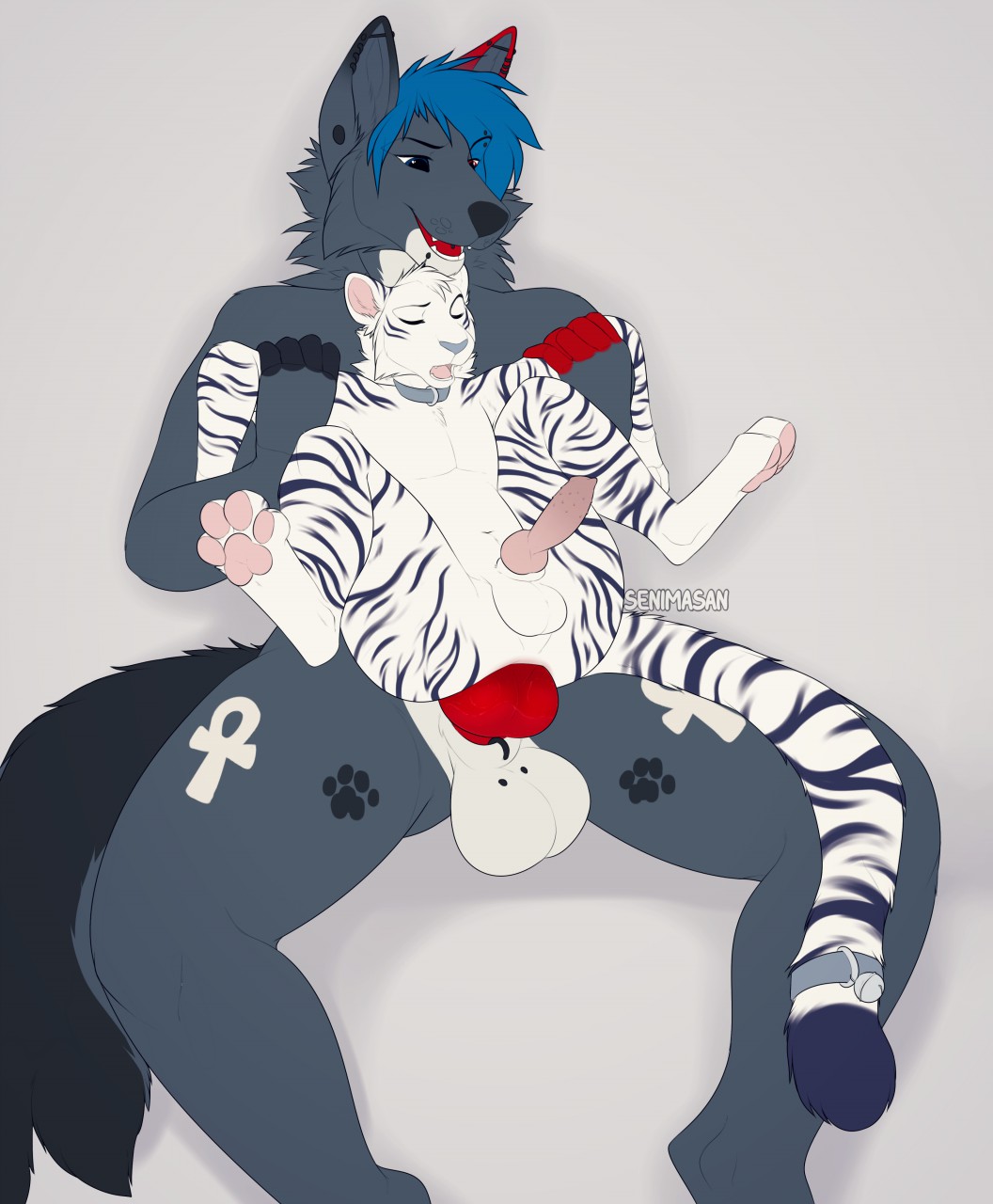 2020 4_toes 5_fingers anal anal_penetration anthro anthro_on_anthro anthro_penetrated anthro_penetrating anthro_penetrating_anthro black_stripes blue_hair digital_media_(artwork) duo felid fingers fur hair hi_res male male/male male_penetrated male_penetrating male_penetrating_male mammal open_mouth pantherine penetration senimasan sex striped_body striped_fur stripes teeth tiger toes tongue white_body white_fur