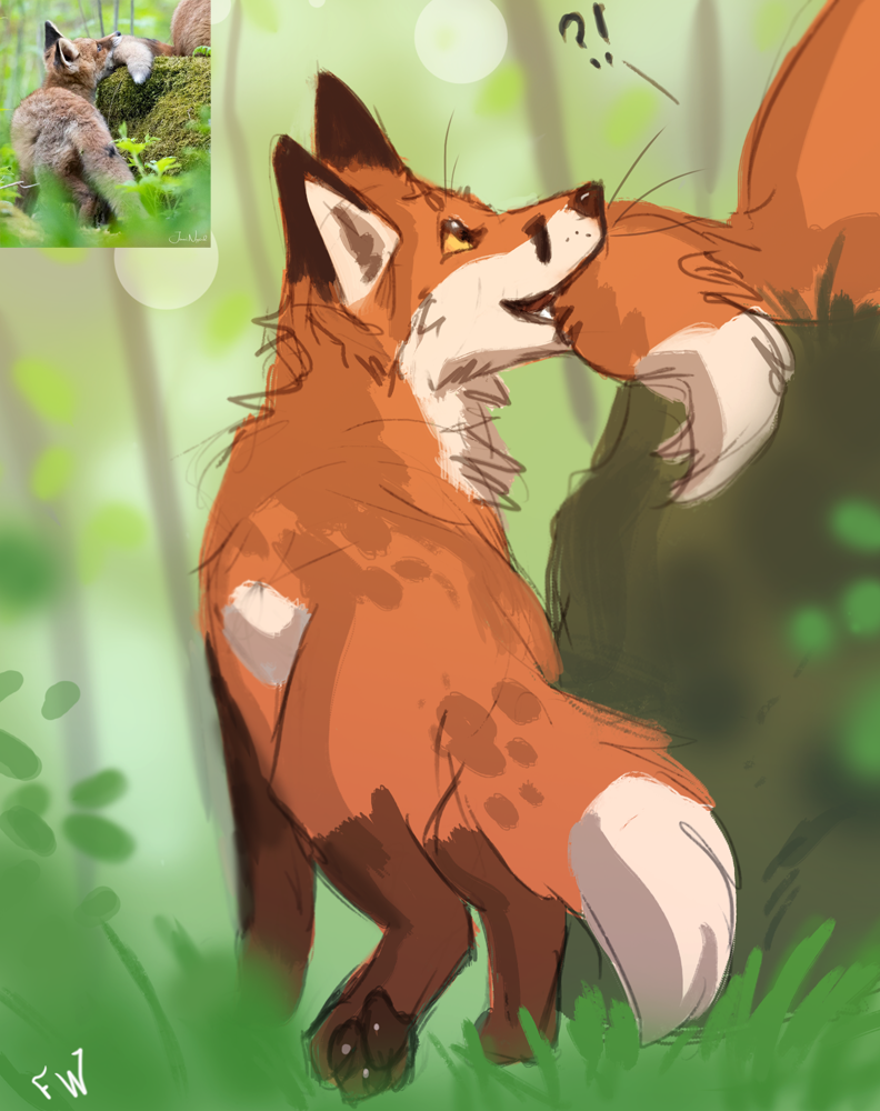 2020 canid canine digital_media_(artwork) feral flashlioness fox fur mammal orange_body orange_fur