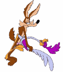 animated roadrunner tagme warner_brothers wile_e_coyote