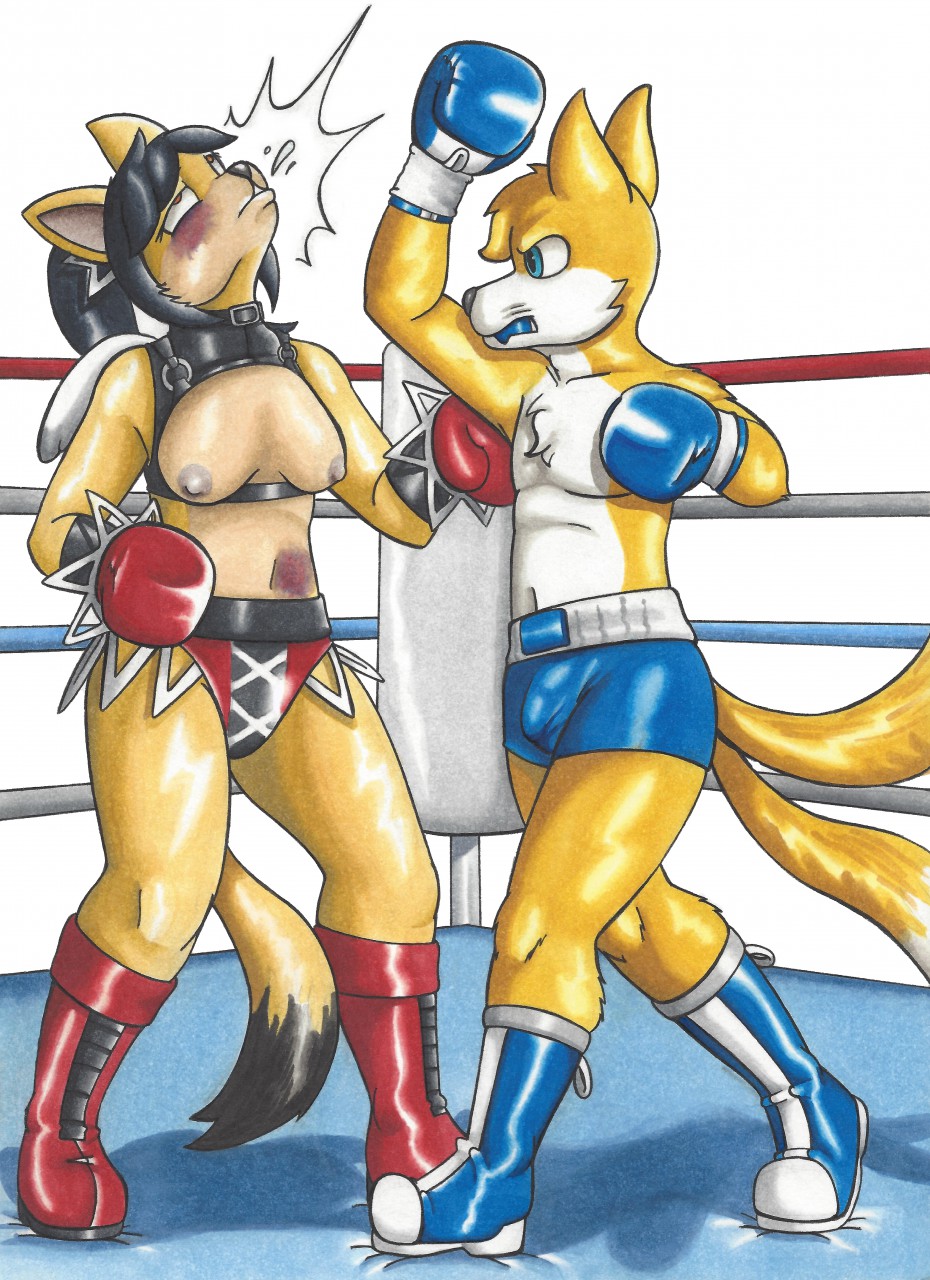 2018 2_tails anthro bangs black_hair blue_boots blue_clothing blue_eyes boxing boxing_gloves boxing_shorts breasts bruised buckler canid canine clothing dcheese determined dipstick_tail domestic_cat duo exposed_breasts felid feline felis female fighting_ring fox fur hair handwear hi_res honey_the_cat male mammal miles_prower mouthguard multi_tail multicolored_tail nipples orange_eyes ponytail red_boots red_clothing sonic_the_fighters sonic_the_hedgehog_(series) sport tan_body tan_fur traditional_media_(artwork) uppercut white_body white_fur yellow_body yellow_fur
