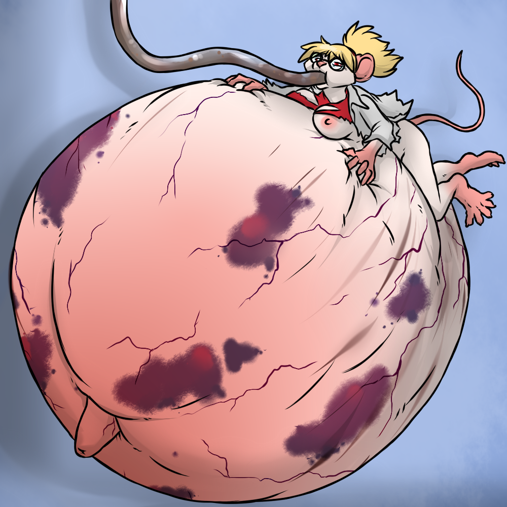 1:1 aggrobadger anthro barefoot belly big_belly blonde_hair breasts bruised bursting close_to_bursting clothed clothing coat eyewear female floating glasses hair hose hose_inflation hyper hyper_belly inflation lab_coat mammal midriff mouse murid murine navel nipples outie outie_navel pregnant rodent solo stretch_marks topwear vein veiny_skin zero_gravity