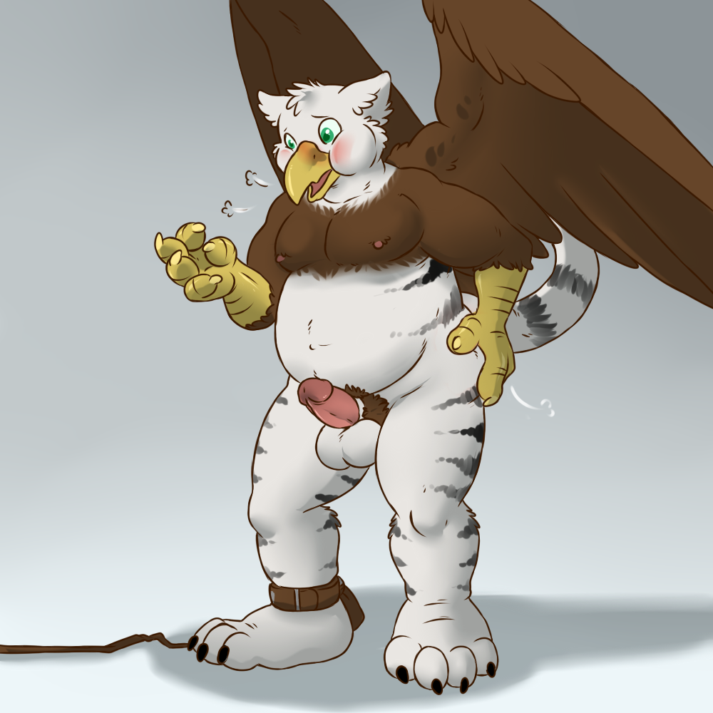 1:1 aggrobadger air_(disambiguation) air_inflation anklet anthro beak black_stripes brown_body brown_feathers brown_fur chubby_male embarrassed energy_beam erection feathers fur genitals green_eyes grpyhon humanoid_genitalia humanoid_penis inflation jewelry light_beam male penis slightly_chubby solo steam stripes talons white_body white_fur wings