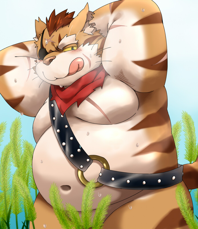 anthro belly blush bodily_fluids clothing domestic_cat dragon_quest eye_patch eyewear felid feline felis grass kemono male mammal moobs navel nikiciy nude one_eye_obstructed outside overweight overweight_anthro overweight_male plant robe scar scarf solo square_enix sweat tickling tiger_stripes tongue video_games