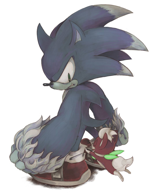 2010 ambiguous_gender anthro biped blue_body blue_fur chip_(sonic) claws clothing duo eulipotyphlan eyes_closed flying footwear fur green_eyes green_wings grey_body grey_fur male mammal niwa0w0 red_body red_fur shoes simple_background smile sonic_the_hedgehog_(series) sonic_the_werehog sonic_unleashed standing were wereeulipotyphlan werehog white_background white_body white_fur wings