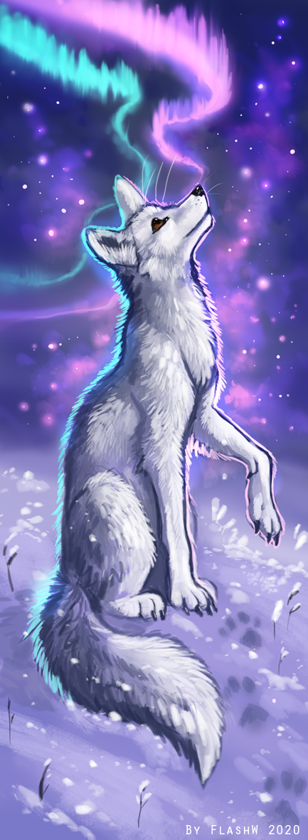 2020 ambiguous_gender canid canine canis detailed_background digital_media_(artwork) feral hitmore mammal night outside sky snow solo star starry_sky wolf