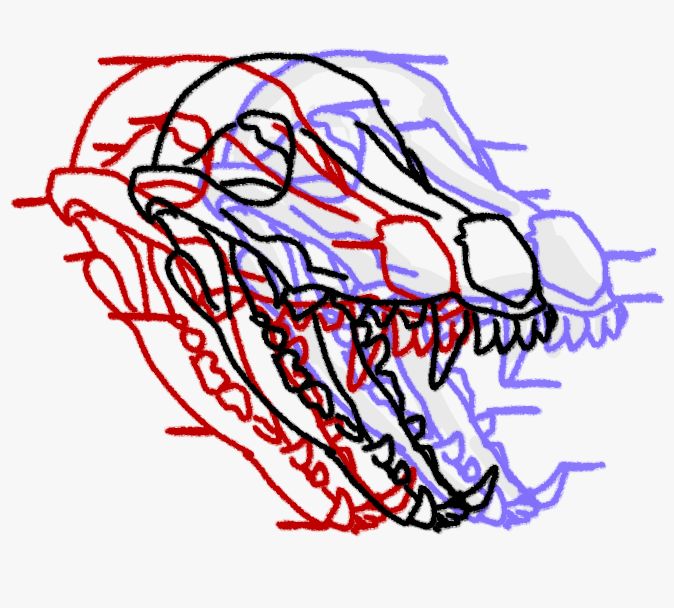 ambiguous_gender bone canid canine canis coyote fangs feral glitch mammal olympusmtp photo profile safe skull solo teeth