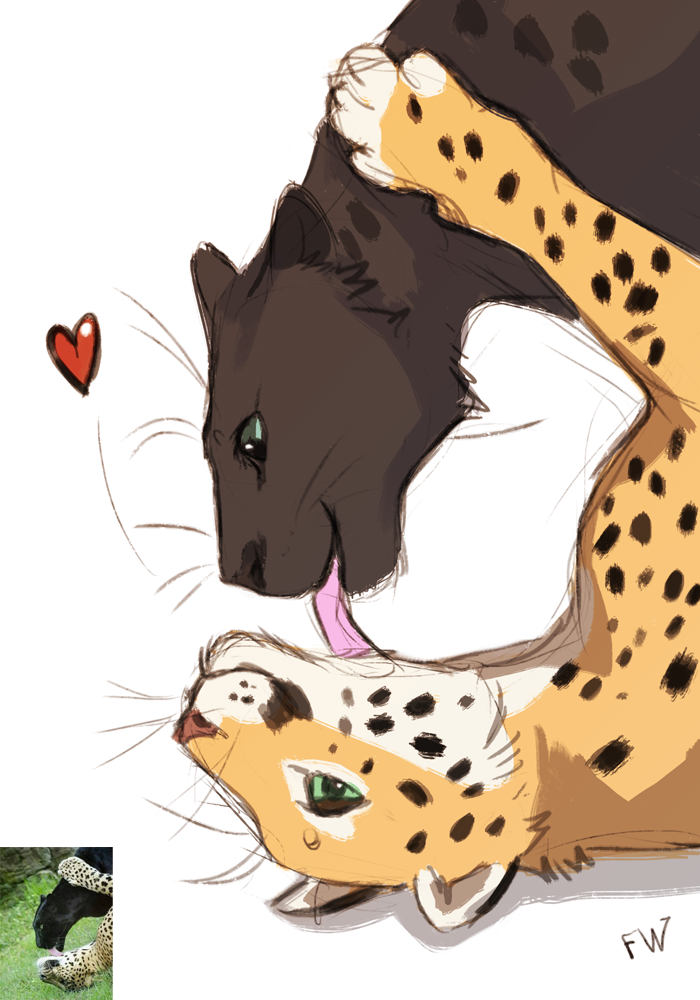 &lt;3 2020 ambiguous_gender digital_media_(artwork) duo felid feline feral flashlioness green_eyes leopard licking mammal pantherine smile tongue tongue_out