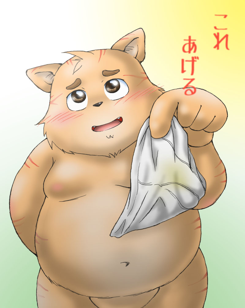 2016 anthro blush clothing dekatanu domestic_cat felid feline felis japanese_text kemono male mammal overweight overweight_male text underwear young