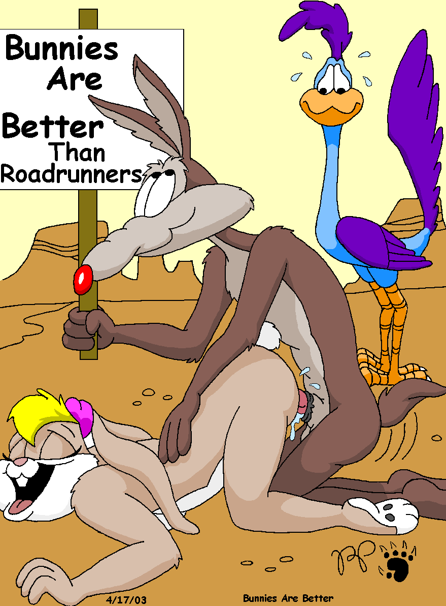 kthanid lola_bunny looney_tunes roadrunner space_jam wile_e_coyote