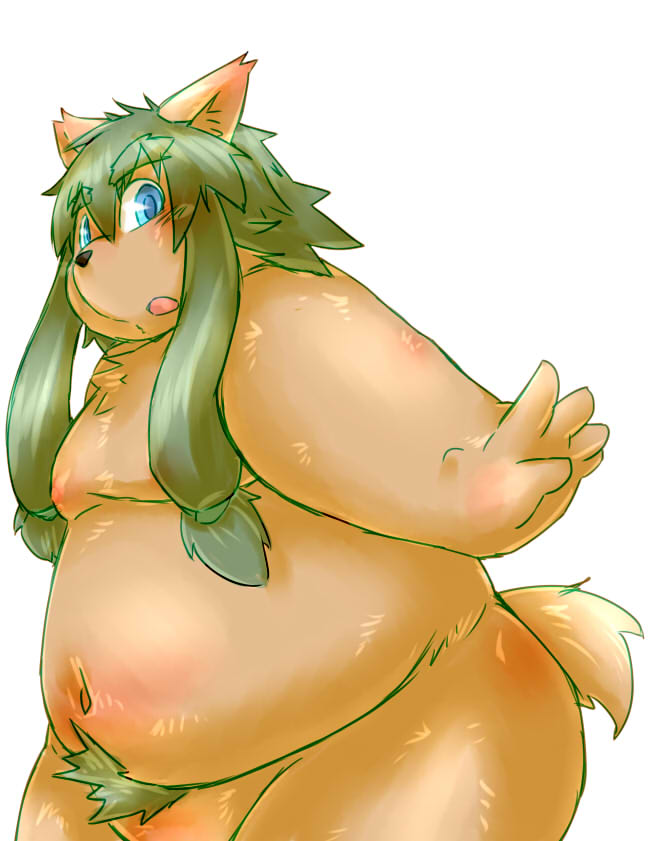 2013 anthro anvel belly blush canid canine chiro_(artist) kemono male mammal moobs nipples overweight overweight_anthro overweight_male simple_background solo white_background