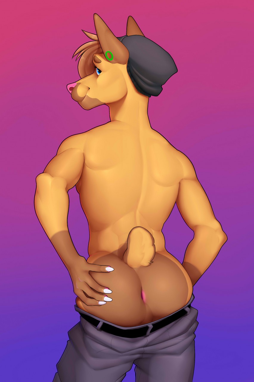 anthro beanie butt canid canine canis clothing dobermann domestic_dog ear_piercing flesh_tunnel flick_(slushie315) gauged_ear hair hat headgear headwear hi_res looking_at_viewer male mammal meheheehehe nub_tail piercing pinscher presenting presenting_hindquarters simple_background slim smile solo