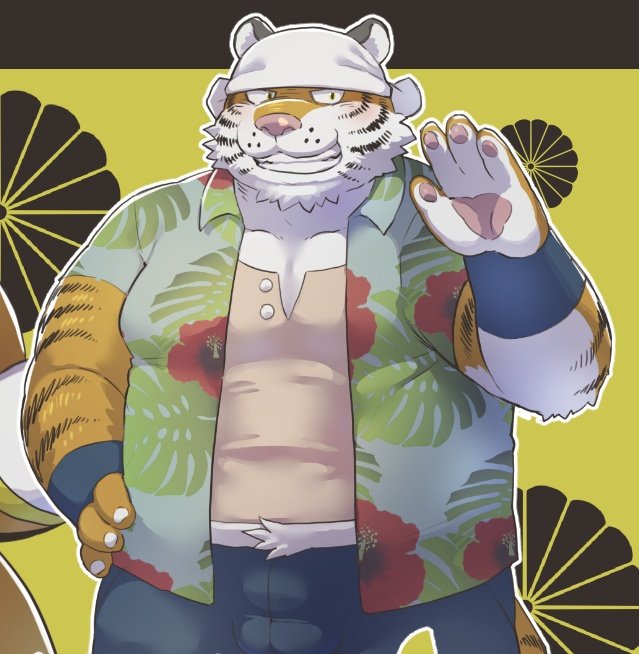 2020 anthro barazoku bottomwear bulge clothed clothing felid humanoid_hands kemono male mammal open_clothing open_shirt open_topwear pantherine pants pink_nose shirt solo tiger topwear un0sk