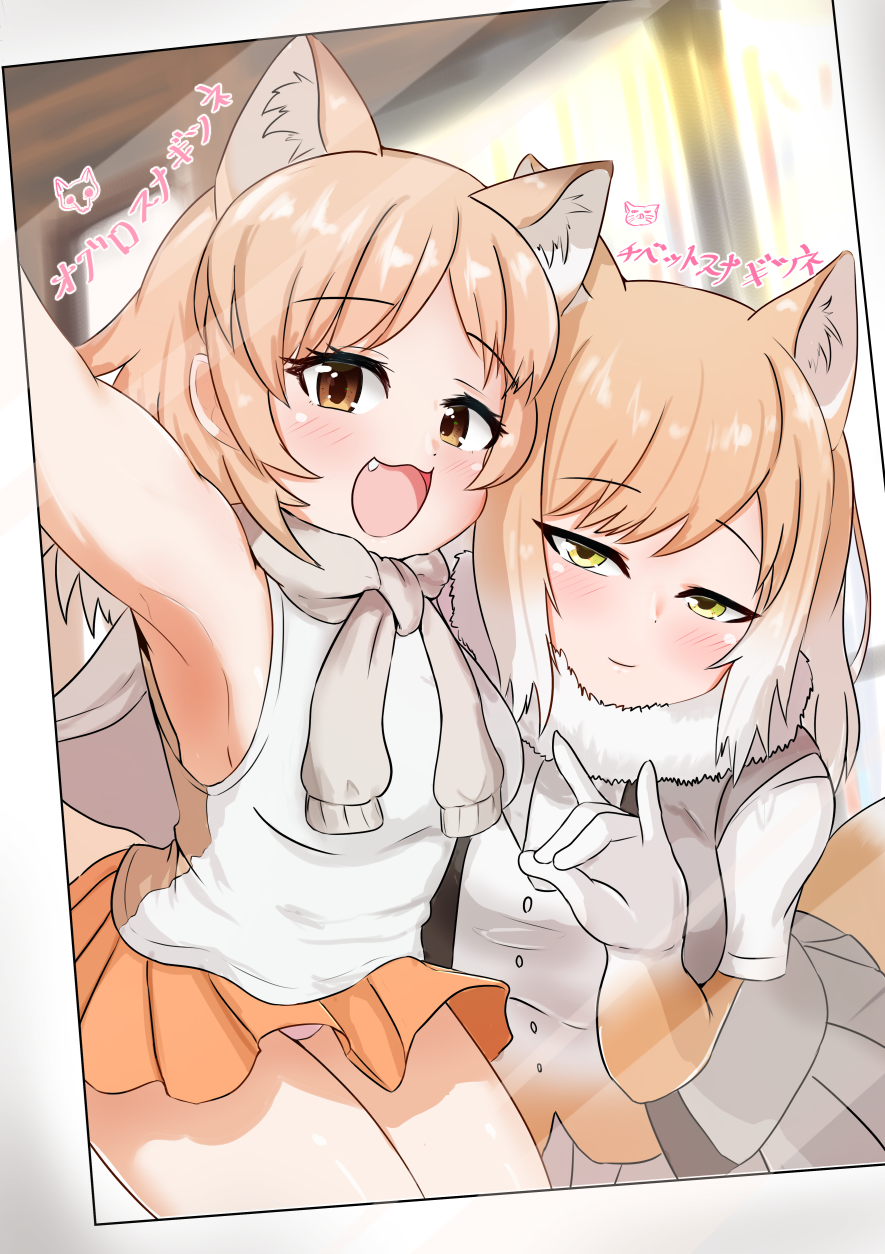 2girls \n/ akaisuto animal_ears armpits bangs bare_arms bare_shoulders blush breasts brown_eyes character_name closed_mouth commentary_request elbow_gloves extra_ears eyebrows_visible_through_hair fang fox_ears fox_girl fox_tail fur_collar gloves half-closed_eyes highres indoors kemono_friends light_brown_hair light_smile medium_hair microskirt multicolored_hair multiple_girls open_mouth outstretched_arm pale_fox_(kemono_friends) panties parted_bangs photo_(object) pink_panties pleated_skirt reaching_out self_shot shiny shiny_hair shirt short_sleeves side-by-side sideboob sidelocks skirt sleeveless sleeveless_shirt smile tail tareme tibetan_sand_fox_(kemono_friends) tsurime two-tone_hair underwear vest white_hair yellow_eyes