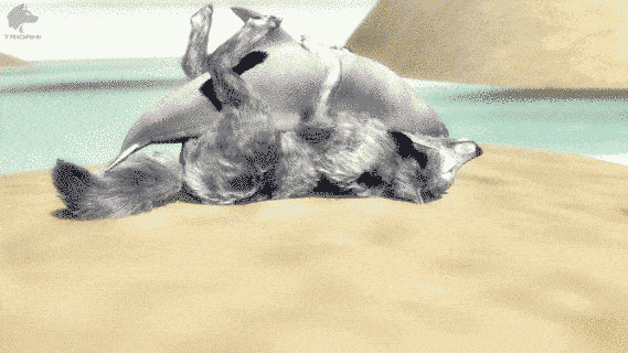 3d_(artwork) ambiguous_gender ambiguous_penetrated ambiguous_penetration animated anthro beach canid canine canis cetacean delphinoid digital_media_(artwork) domestic_dog duo female feral feral_on_feral feral_penetrated feral_penetrating feral_penetrating_feral fur genitals interspecies lying male male/ambiguous male/female male_on_feral male_penetrating male_penetrating_ambiguous mammal marine on_back penetration penile penile_penetration penis reverse_missionary_position sand seaside sex shaved_head short_playtime toothed_whale trioami260 wolf