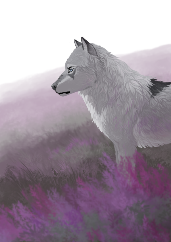 2020 ambiguous_gender black_border black_nose border canid canine canis day detailed_background digital_media_(artwork) eyebrows eyelashes feral fur grass grypwolf mammal outside solo standing white_body white_fur wolf