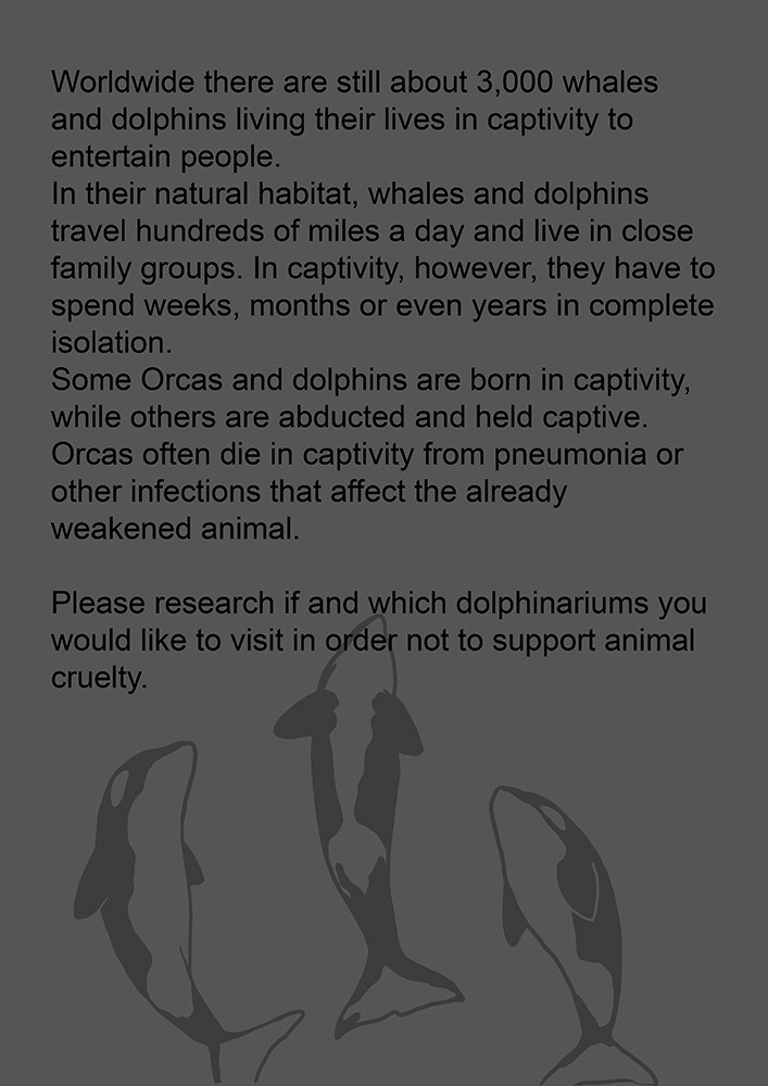 ambiguous_gender cetacean comic delphinoid english_text feral group jenny_jinya loving_reaper mammal marine monochrome oceanic_dolphin orca text toothed_whale