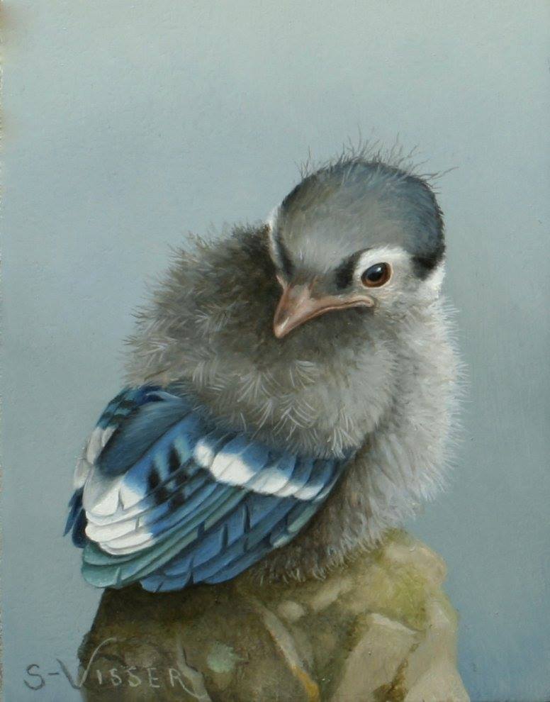 animal_focus bird bird_request commentary_request dated dutch_commentary no_humans original painting_(medium) realistic solo suzan_visser traditional_media
