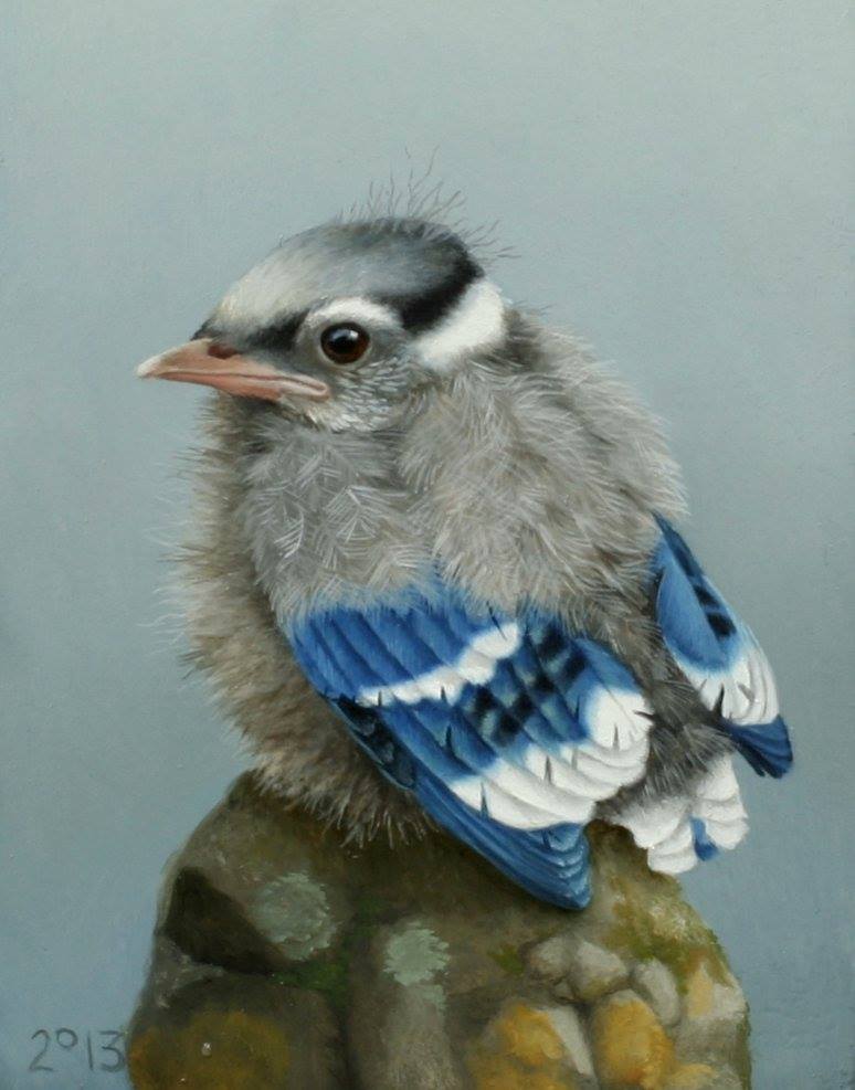 animal_focus bird bird_request commentary_request dated dutch_commentary no_humans original painting_(medium) realistic solo suzan_visser traditional_media