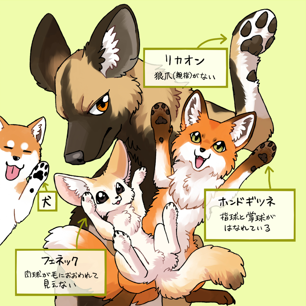african_wild_dog ambiguous_gender ayaka black_body black_fur canid canine canis countershading domestic_dog fangs fennec feral fluffy fluffy_tail fox fur gesture green_background group japanese_text larger_feral looking_at_viewer mammal orange_body orange_fur pawpads paws shiba_inu simple_background size_difference smaller_feral smile spitz tail tan_body tan_fur teeth text tongue tongue_out translation_request waving waving_at_viewer white_body white_fur