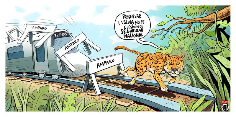 ambiguous_gender deforestation destruction felid jaguar mammal mexico monoaureo pantherine plant spanish_text text train tree tren_maya vehicle