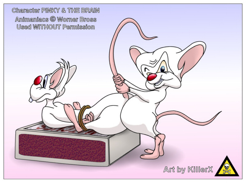 animaniacs pinky pinky_and_the_brain tagme the_brain
