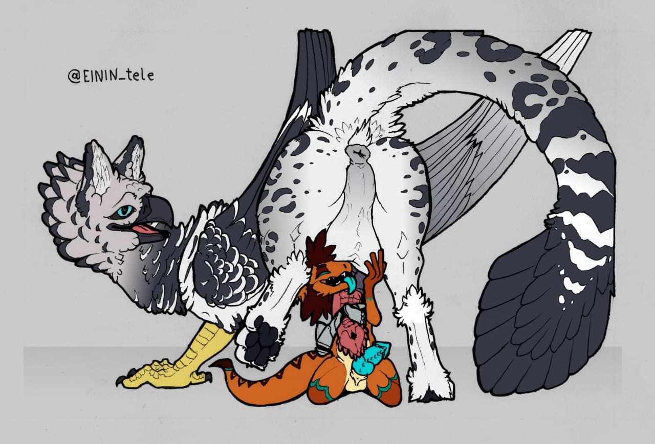 animal_genitalia anthro atiratael avian balls beak bestiality duo einin feathered_wings feathers feral genitals gryphon klutzy_(klutztron) kobold male male/male mythological_avian mythology penis simple_background talons tongue tongue_out wings