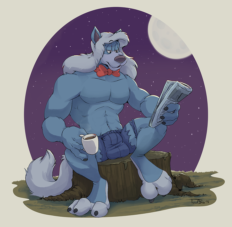 2019 4_fingers abs animaniacs anthro beverage blue_body blue_fur bottomwear bow_tie canid canine canis clothed clothing coffee cutoffs denim denim_clothing digitigrade fingers full_moon fur hair male mammal moon muscular muscular_anthro muscular_male navel newspaper pecs reading shorts sky solo star starry_sky stub teaselbone topless torn_clothing warner_brothers white_hair wilford_wolf wolf