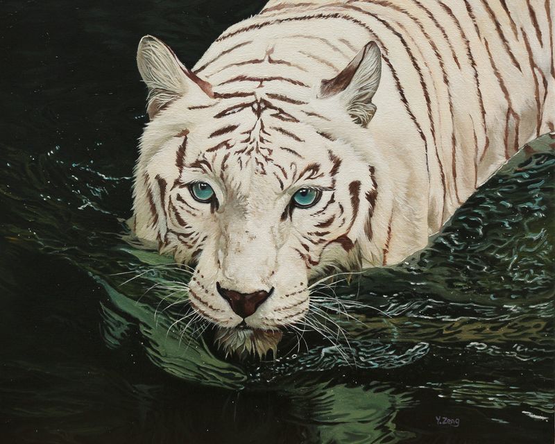 5:4 ambiguous_gender blue_eyes felid feral fur looking_at_viewer mammal oil_painting_(artwork) painting_(artwork) pantherine partially_submerged realistic solo tiger traditional_media_(artwork) water wet wet_body wet_fur whiskers white_body white_fur yuezeng-mn
