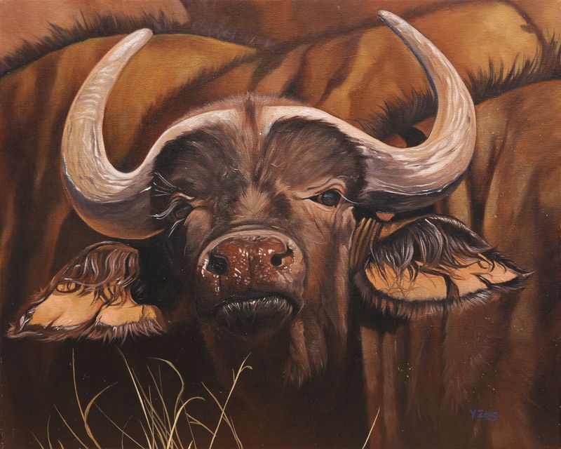 5:4 ambiguous_gender bovid bovine brown_body brown_fur cape_buffalo fur grass horn looking_at_viewer mammal oil_painting_(artwork) painting_(artwork) solo_focus traditional_media_(artwork) yuezeng-mn