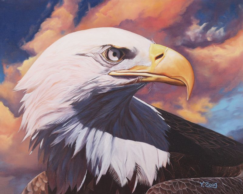 5:4 accipitrid accipitriform ambiguous_gender avian bald_eagle beak bird brown_body brown_feathers cloud eagle feathers feral oil_painting_(artwork) painting_(artwork) realistic sea_eagle sky solo traditional_media_(artwork) white_body white_eyes white_feathers yuezeng-mn