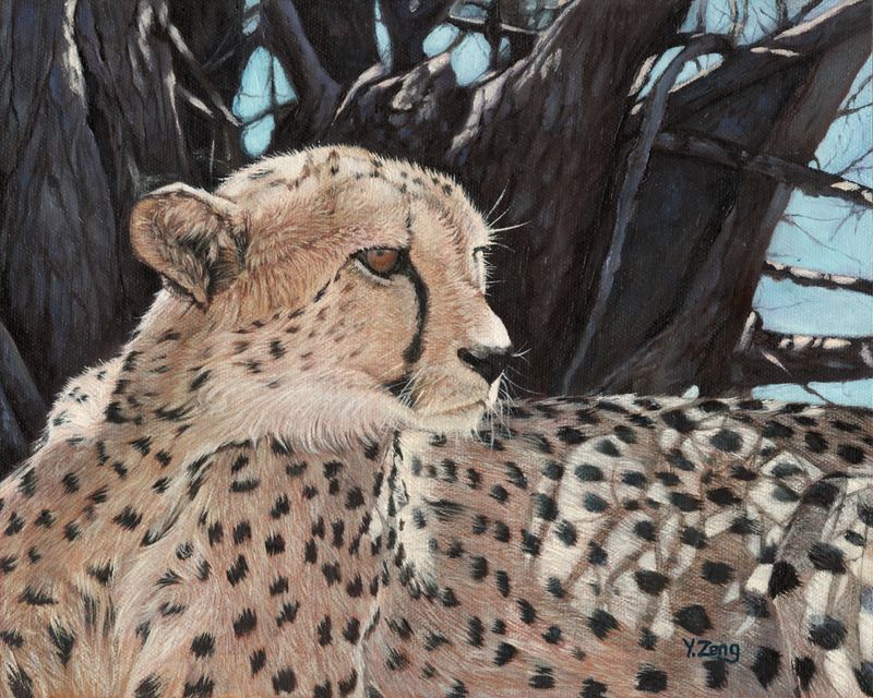 5:4 ambiguous_gender brown_eyes cheetah felid feline feral mammal oil_painting_(artwork) outside painting_(artwork) realistic solo spots_(marking) traditional_media_(artwork) tree yuezeng-mn