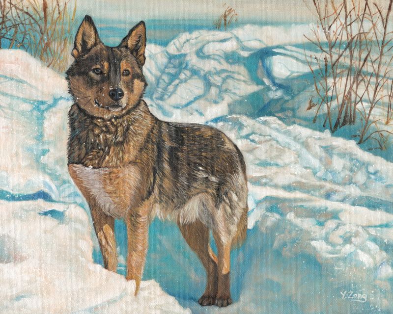 5:4 ambiguous_gender canid canine canis domestic_dog feral german_shepherd herding_dog mammal oil_painting_(artwork) outside painting_(artwork) pastoral_dog plant realistic snow solo traditional_media_(artwork) yuezeng-mn