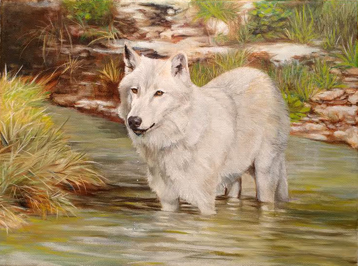 ambiguous_gender black_nose brown_eyes canid canine canis feral fur grass mammal oil_painting_(artwork) outside painting_(artwork) solo suzannemoseley traditional_media_(artwork) water white_body white_fur wolf