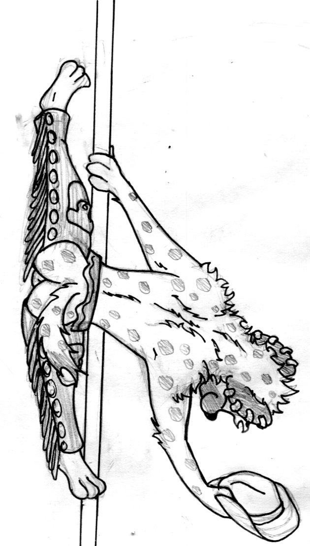 2016 3_toes 4_fingers anthro arm_tuft athletic athletic_anthro athletic_male backsack balls black_and_white black_nose butt chaps closed_smile clothing cowboy_hat dipstick_tail ear_piercing elbow_tufts fingers flexible fur genitals hat headgear headwear holding_hat hyaenid male mammal monochrome multicolored_tail multiple_piercings piercing pole scapula scruffy shoulder_blades shoulder_tuft simple_background smile solo spiff splits spots spotted_body spotted_fur spotted_hyena spotted_tail spread_legs spreading stripper stripper_pole tavit_khalil_(spiff) toes traditional_media_(artwork) tuft white_background