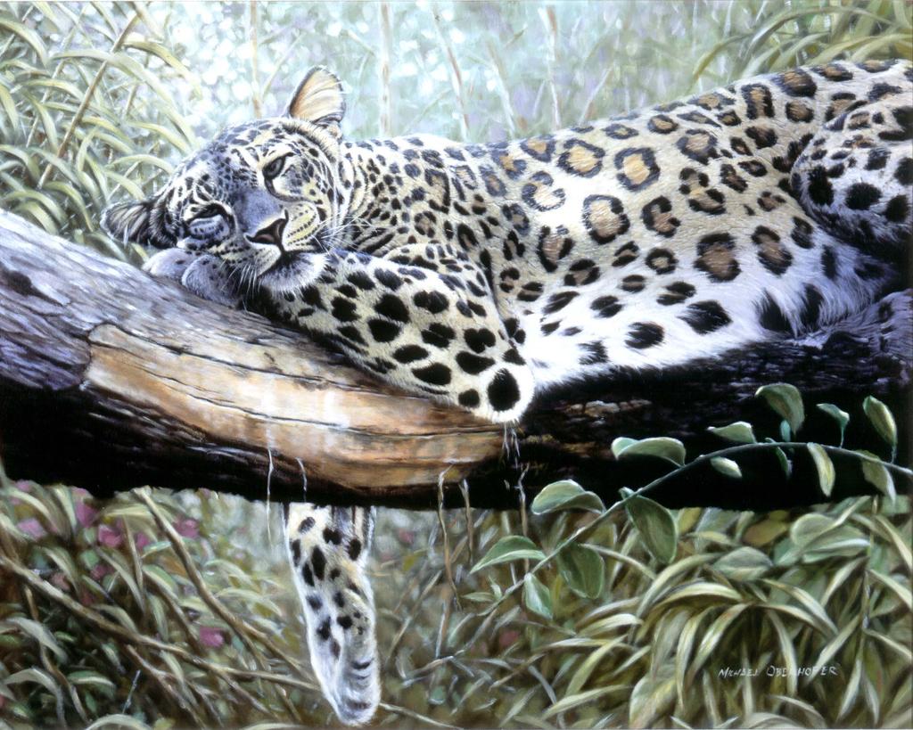 ambiguous_gender detailed felid feral grey_eyes leaf leopard mammal oil_painting_(artwork) painting_(artwork) pantherine plant realistic solo traditional_media_(artwork) tree whiskers wildartguy