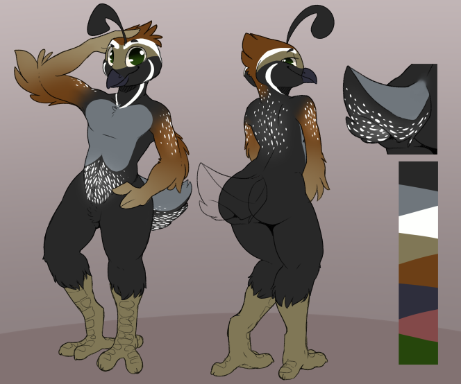 anthro avian backsash better_version_at_source bird butt featureless_crotch galliform looking_at_viewer male model_sheet nude phasianid quail solo