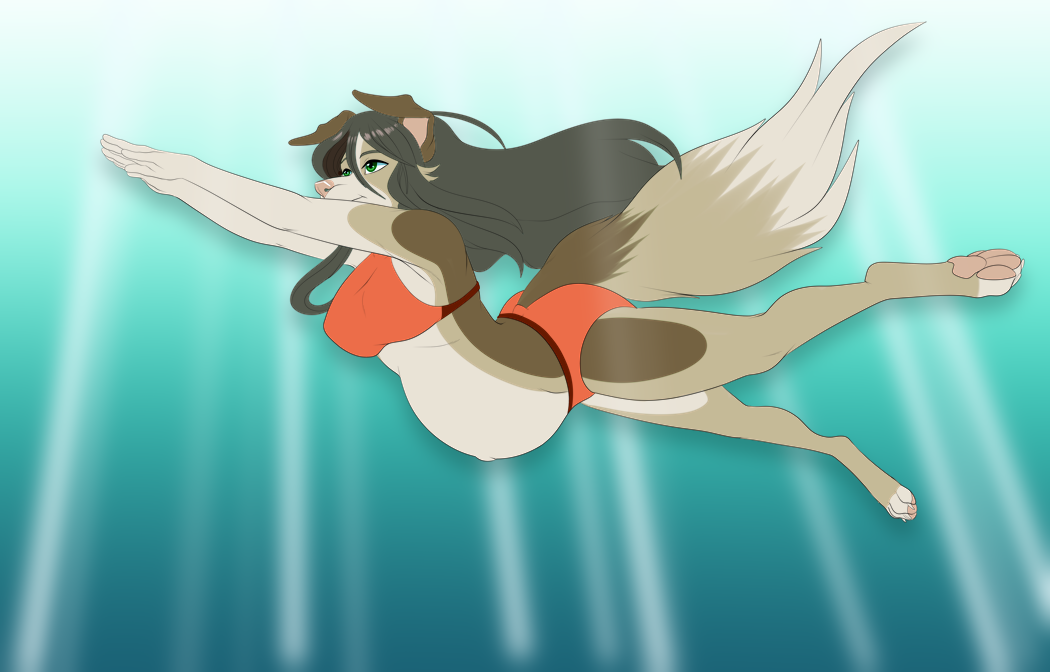 anthro canid canine canis clothing domestic_dog female mammal pregnant pregoo solo swimwear underwater water