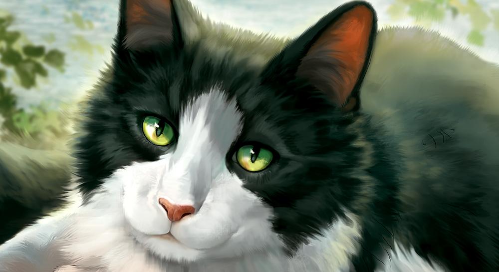 2020 black_body black_fur day detailed_background digital_media_(artwork) domestic_cat felid feline felis feral fur goldendruid green_eyes mammal outside realistic smile solo white_body white_fur